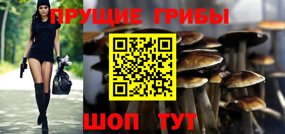 Галлюциногенные грибы Cubensis  Вход с VPN  Урюпинск 